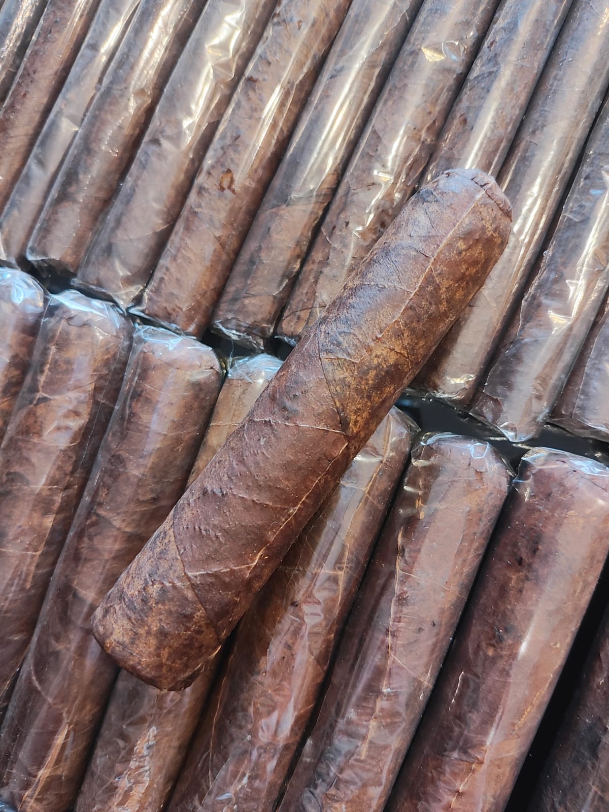 Antarctico Dominicana Prensado