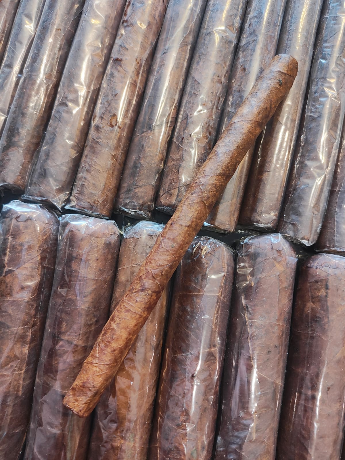 Puros Antarctico Corojo Maduro